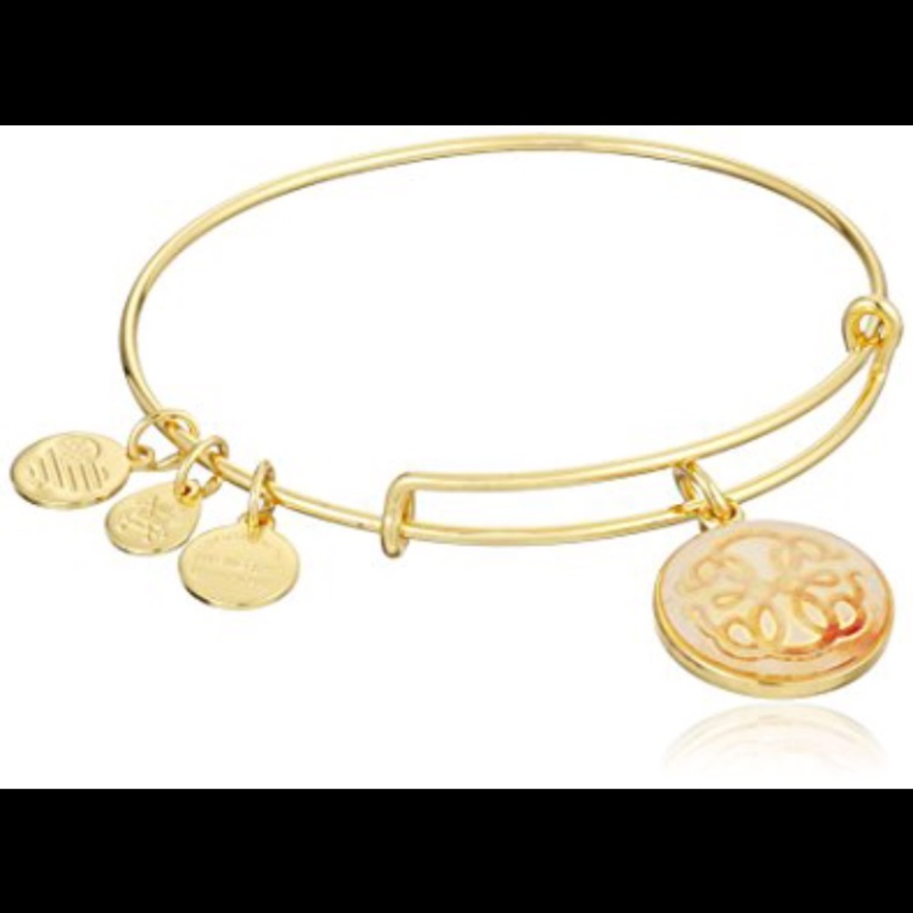 Alex and ani bracelet